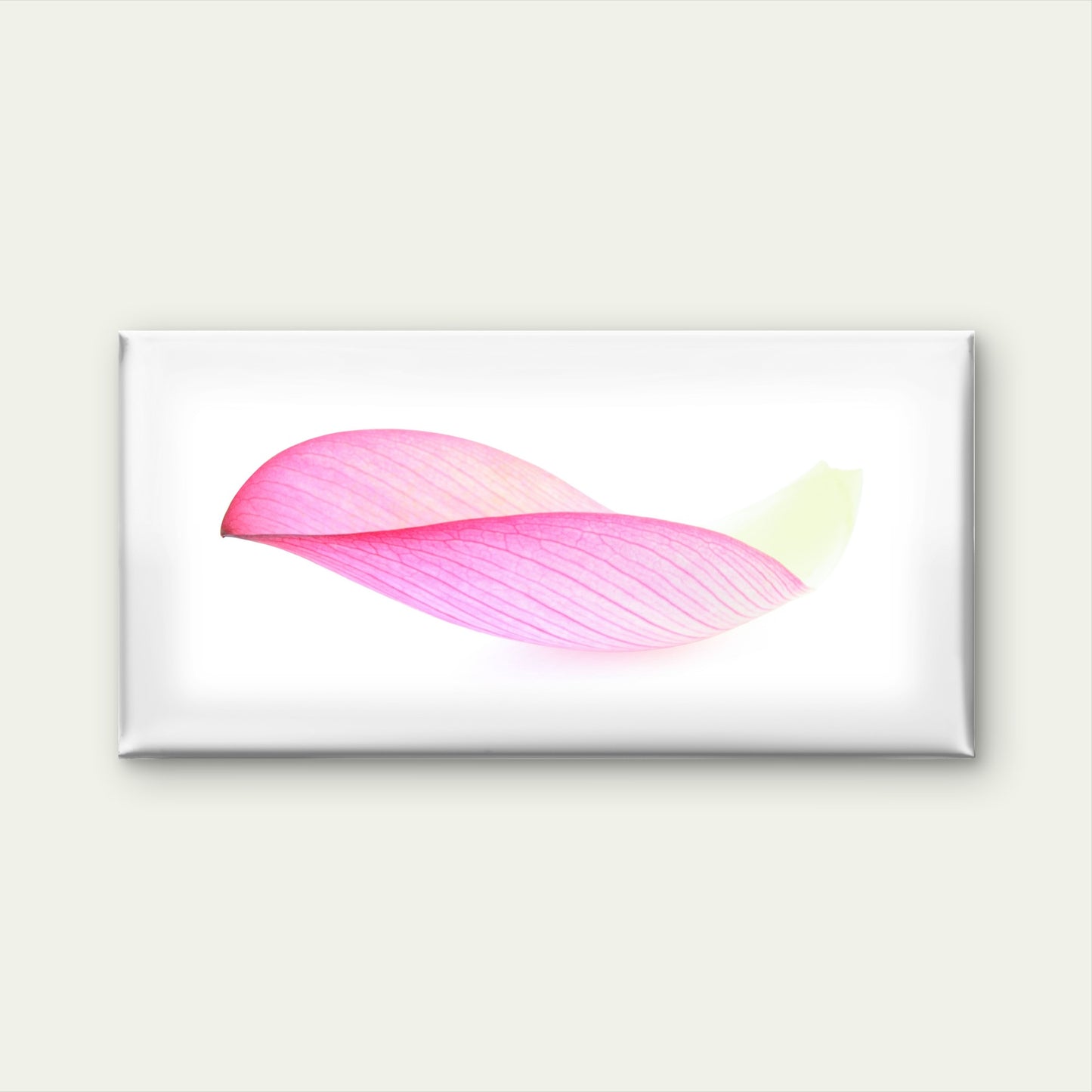 Pink Petal White Background Wall Art Canvas Office Home Room Framed 120x60cm