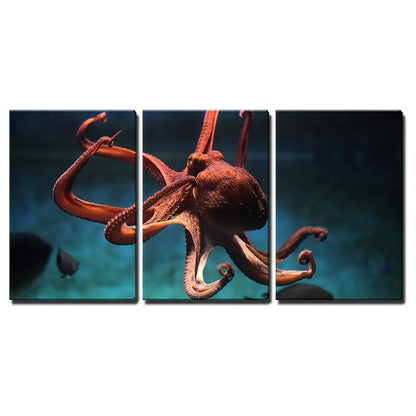 3pcs Common OctopusSealife Animal Metal Print Ready to Hang Art - Bella Home Decor