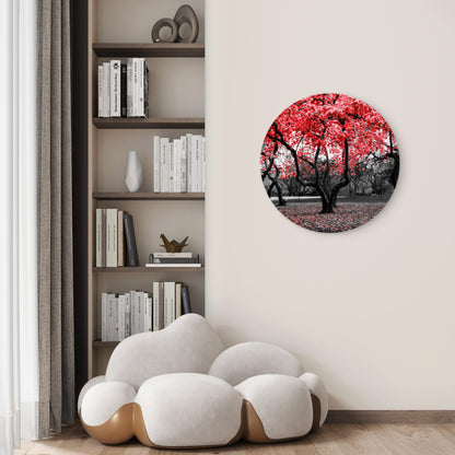 Red Flower Tree Black and White Forest Acrylic Glass Rounded Print Tempered Glass Wall Art 100% Made in Australia Ready to Hang