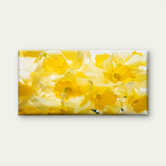 Bright Yellow Daffodil Flower Wall Art Canvas Office Home Room Framed 120x60cm