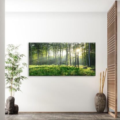Sunbeams Pierce Forest Trees Wall Art Canvas Office Home Room Framed 120x60cm - Bella Home Decor