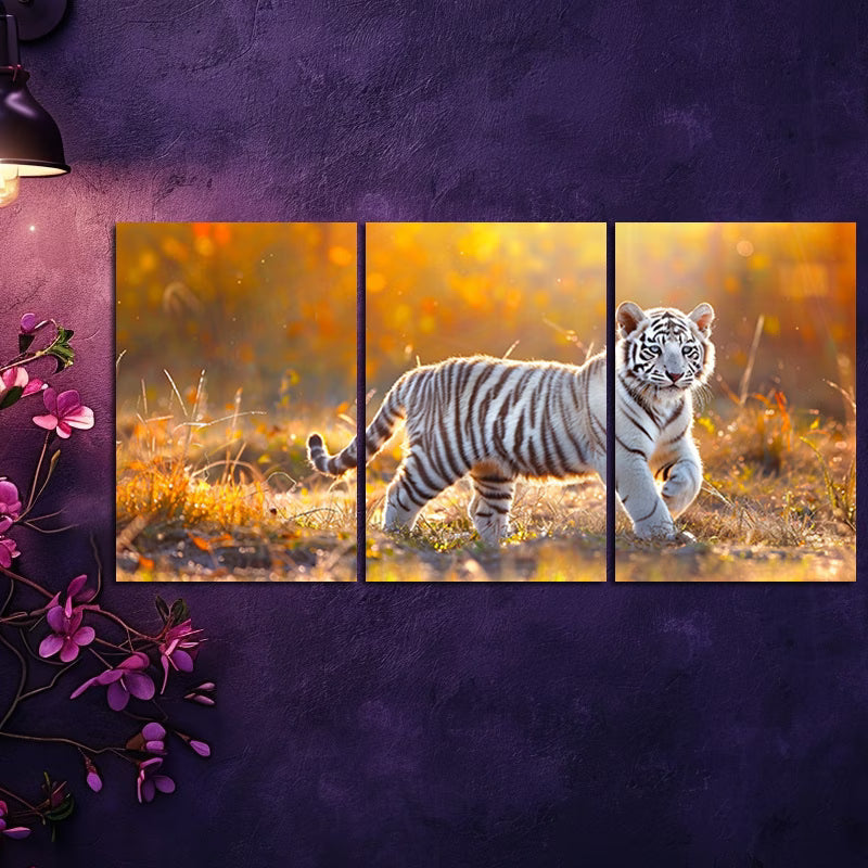 3pcs Charming White Tiger Cub Wall Art Set Canvas Framed 60x90cm - High Quality Print 100% Australian Made Wall Canvas Ready to Hang