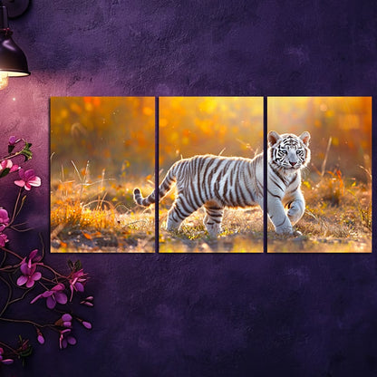 3pcs Charming White Tiger Cub Wall Art Set Canvas Framed 60x90cm - High Quality Print 100% Australian Made Wall Canvas Ready to Hang