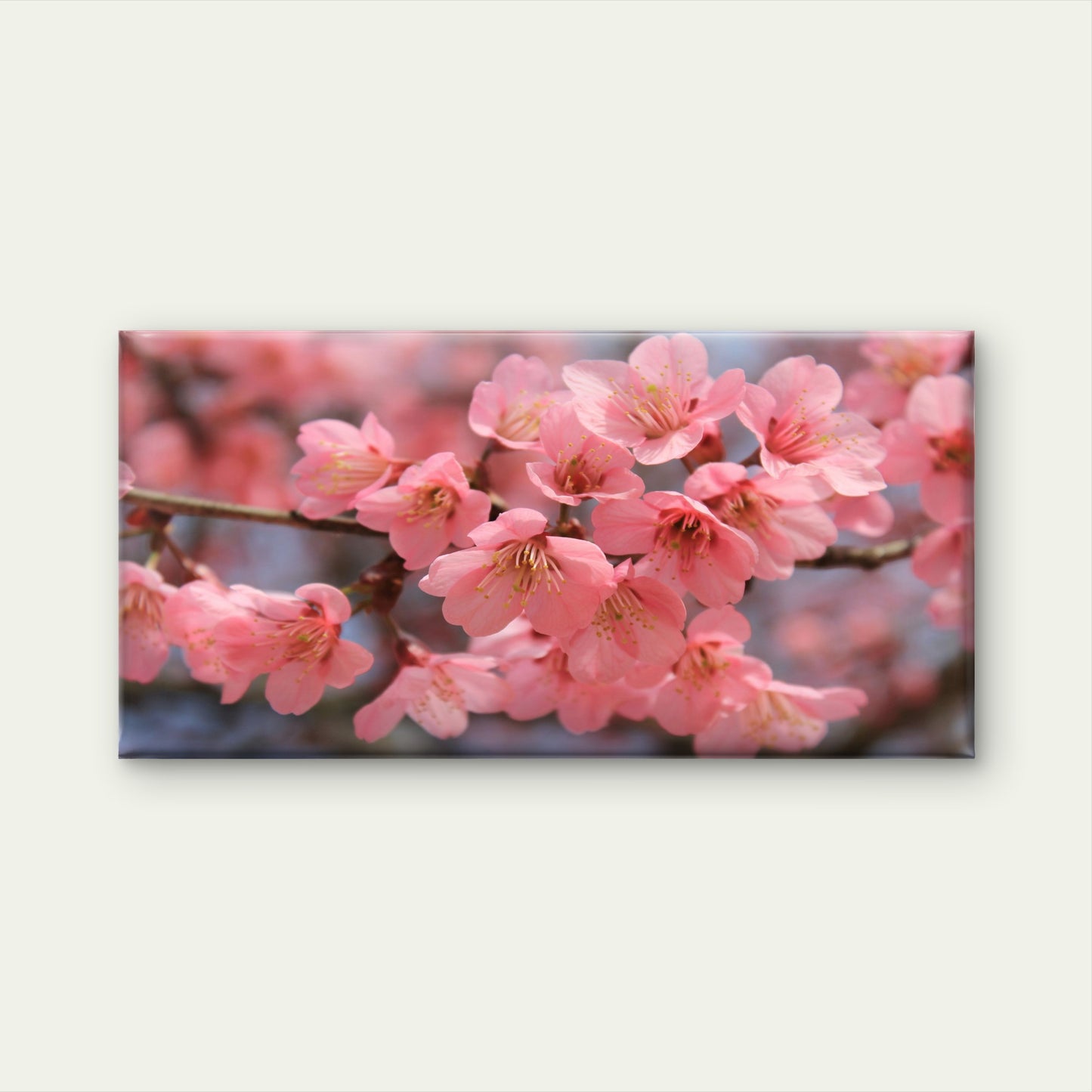 Beautiful Pink Cherry Blossom Wall Art Canvas Office Home Room Framed 120x60cm