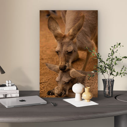 Kangaroo Mother And Joey Bush Wildlife Art 40x60cm Metal Print Ready to Hang