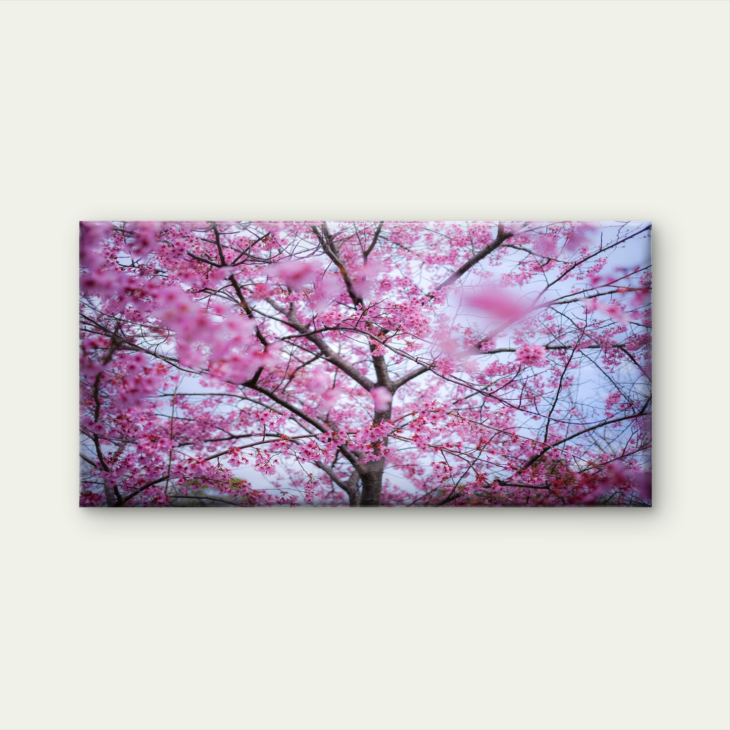 Pink Cherry Blossom Tree Wall Art Canvas Office Home Room Framed 120x60cm