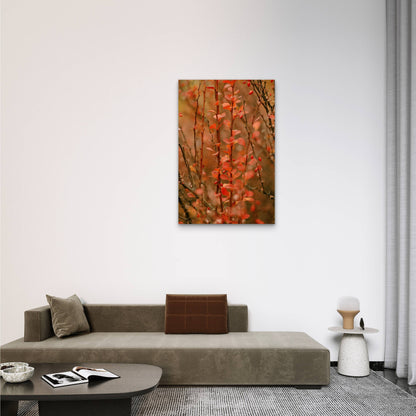 Japanese Barberry Shrub 60x90cm Metal Print Ready to Hang