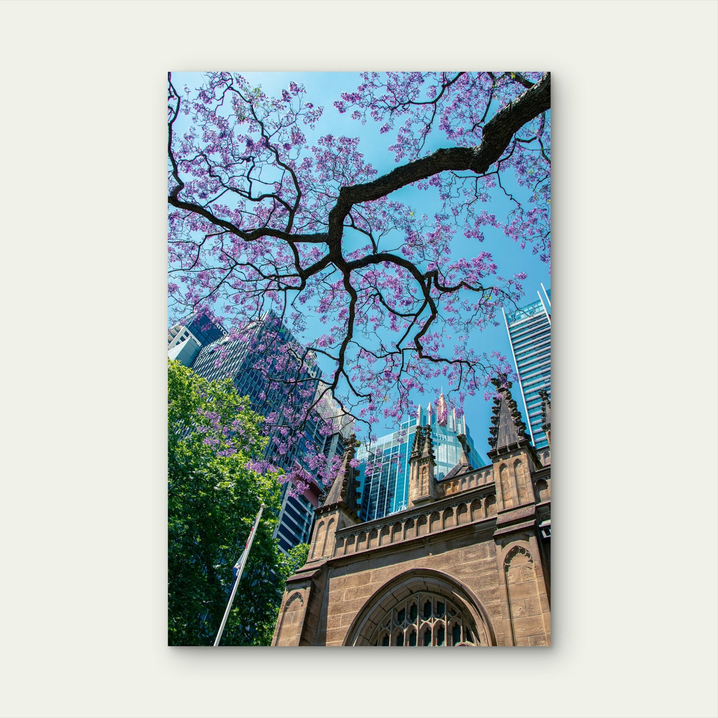 Jacaranda Sydney Cathedral Australia 40x60cm Metal Print Ready to Hang