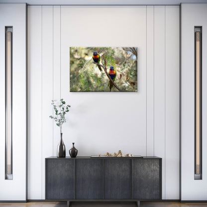 Rainbow Lorikeet Bright Plumage Australia Wall Art Decor 100% Australian Made