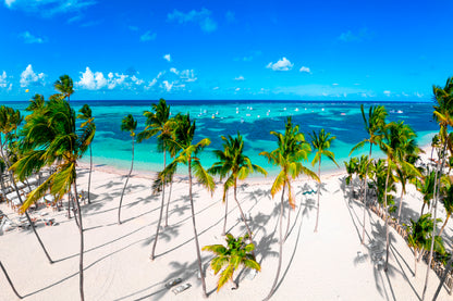 White Sand Bavaro Beach Palm Trees Glass Framed Wall Art, Ready to Hang Quality Print