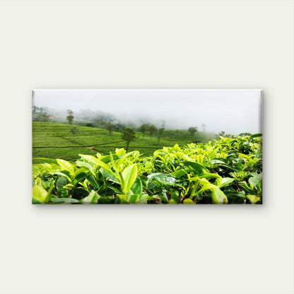 Green Tea Plantation View Wall Art Canvas Office Home Room Framed 120x60cm - Bella Home Decor