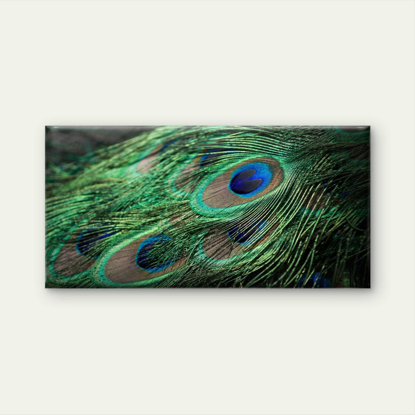 Vibrant Peacock Feather Eyes Wall Art Canvas Office Home Room Framed 120x60cm