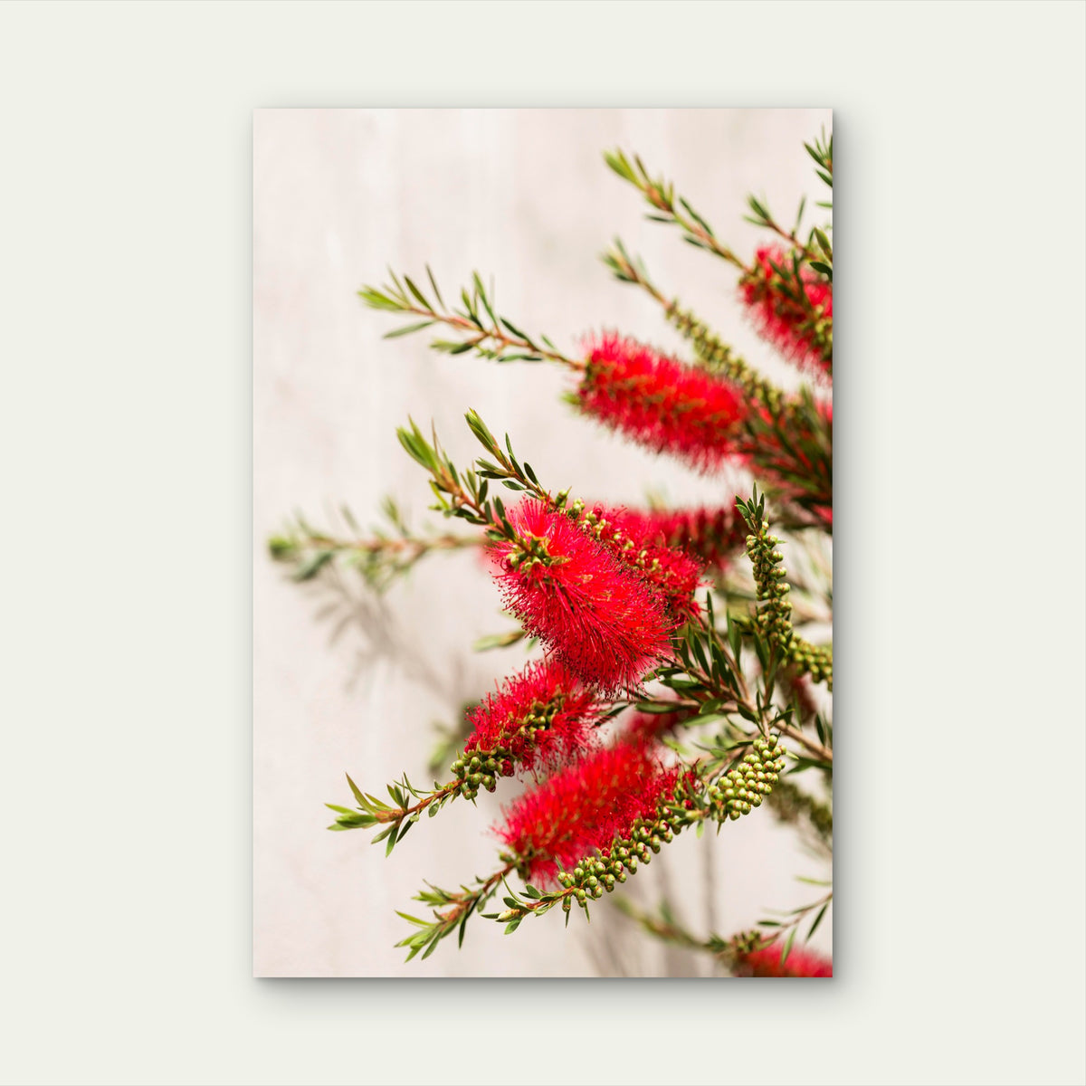 Arrangement With Beautiful Red Flowers 40x60cm Metal Print Ready to Hang