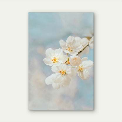 White Cherry Blossom in Close-Up Photography 60x90cm Metal Print Ready to Hang