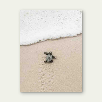 Design of a Baby Turtle 40x60cm Metal Print Ready to Hang