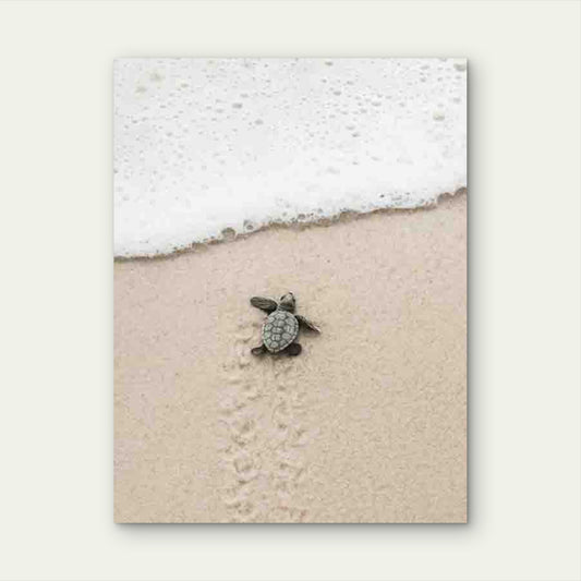 Design of a Baby Turtle 40x60cm Metal Print Ready to Hang