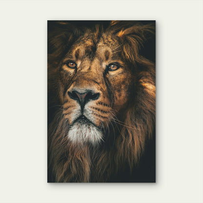 Close-Up Photograph of a Male Lion 40x60cm Metal Print Ready to Hang