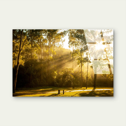 Sunlit Eucalyptus Forest Australian Bushland Landscape Acrylic Glass Printing Wall Art Australian Made Quality
