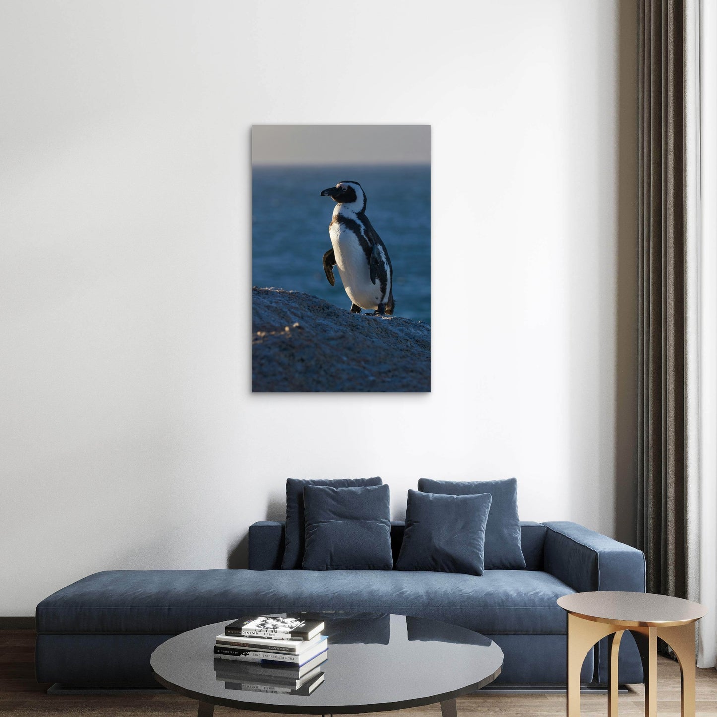 African Penguin with Ocean View 40x60cm Metal Print Ready to Hang