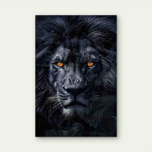 Majestic Black Lion60x90cm Metal Print Ready to Hang - Bella Home Decor