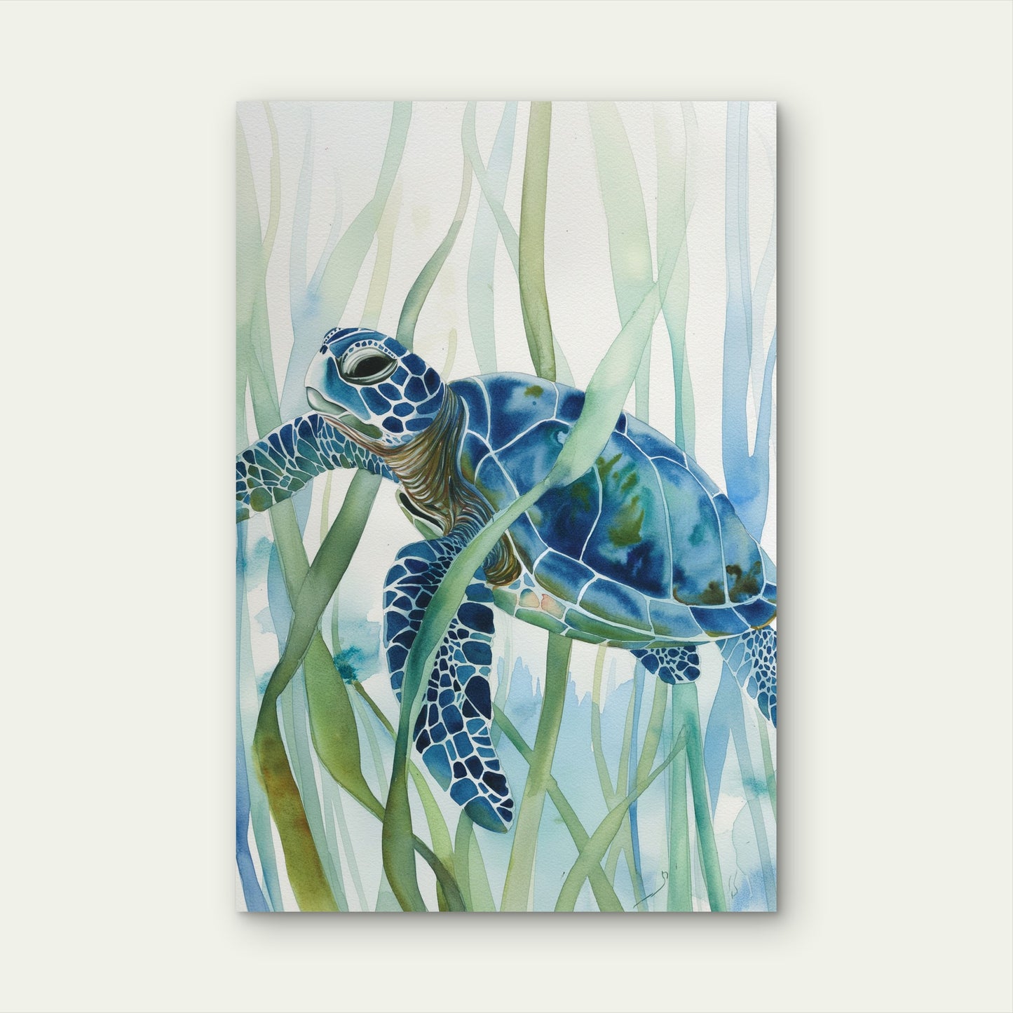 Turtle With Algae Illustration 40x60cm Metal Print Ready to Hang