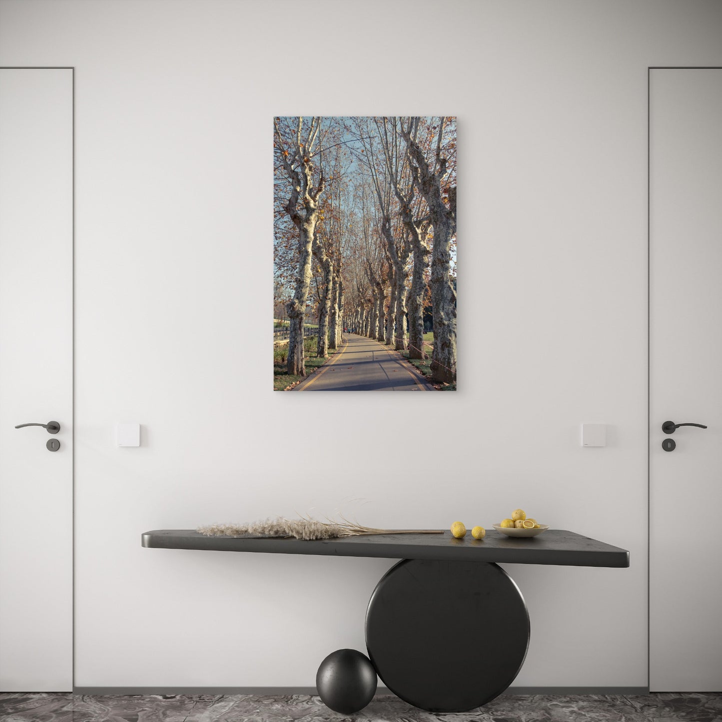 Autumn Plane Trees Avenue Sycamore Alley 40x60cm Metal Print Ready to Hang