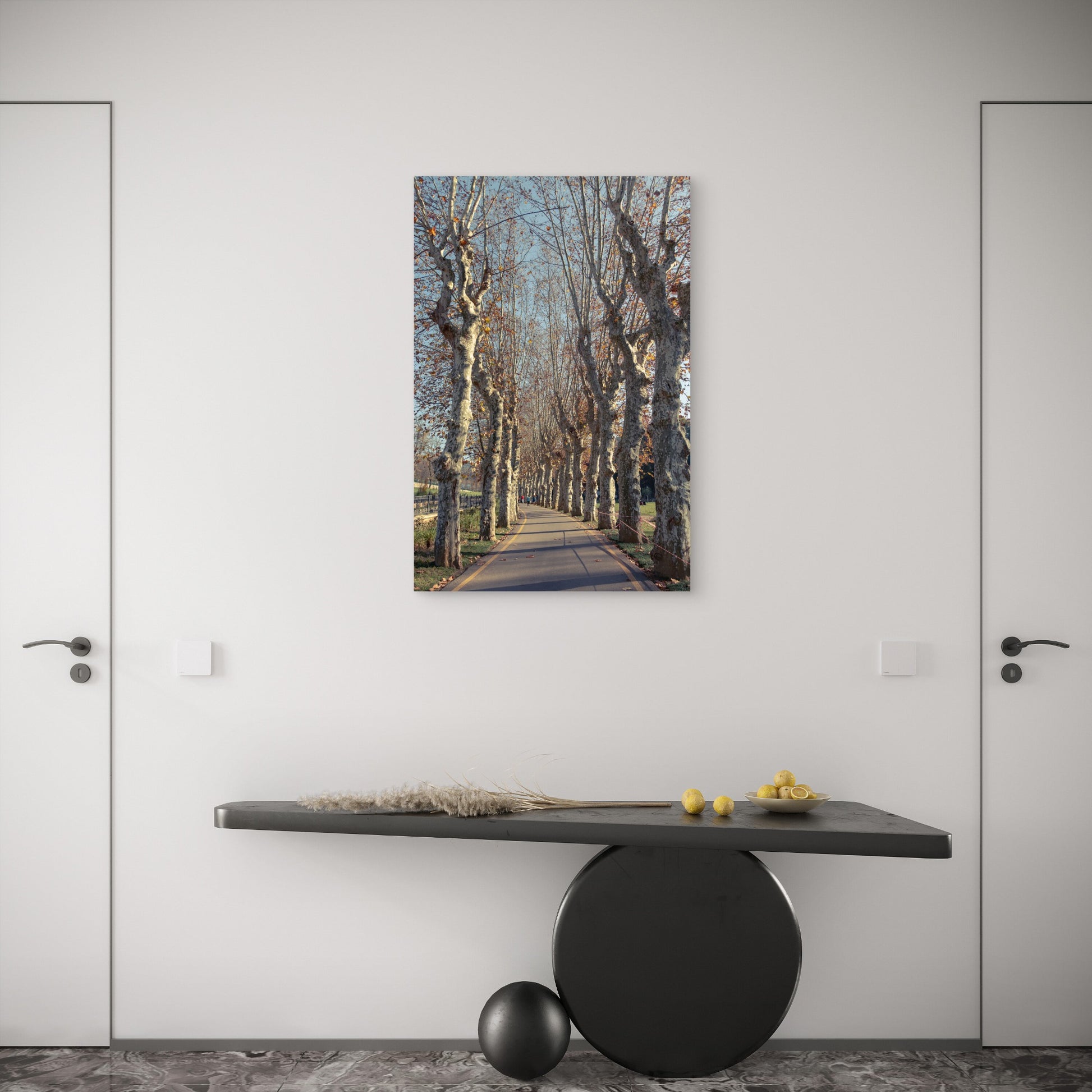 Autumn Plane Trees Avenue Sycamore Alley 40x60cm Metal Print Ready to Hang