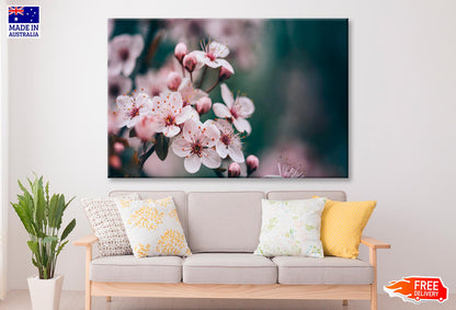 Closeup Of Spring Blossom Flower  Wall Art Decor 100% Australian Made