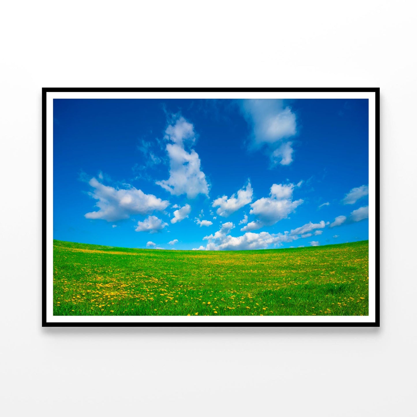 Grassland and Blue Sky Home Decor Premium Quality Poster Print Choose Your Sizes