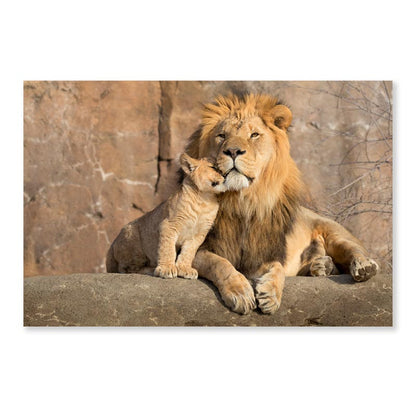 Male African Lion Is Cuddled by His Cub Acrylic Glass Print Tempered Glass Wall Art 100% Made in Australia Ready to Hang