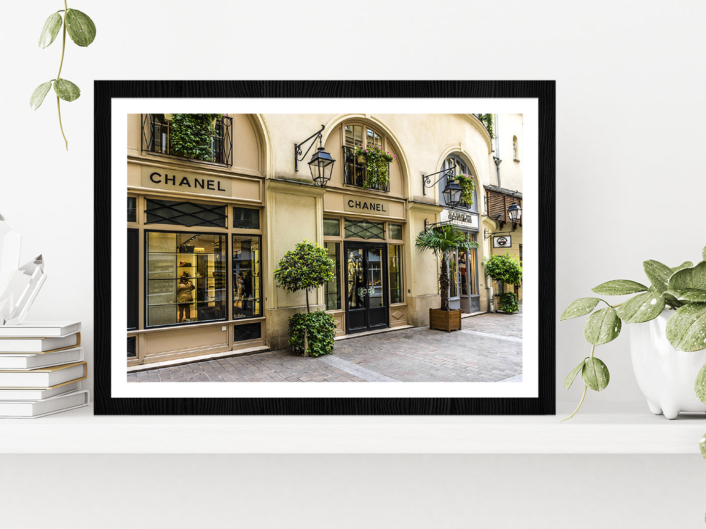 Tree Plants near Fashion Store Madeleine Glass Framed Wall Art, Ready to Hang Quality Print With White Border Black