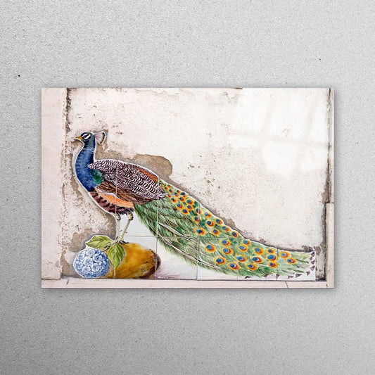 Peacock Vintage Wall Art Acrylic Glass Print Tempered Glass Wall Art 100% Made in Australia Ready to Hang