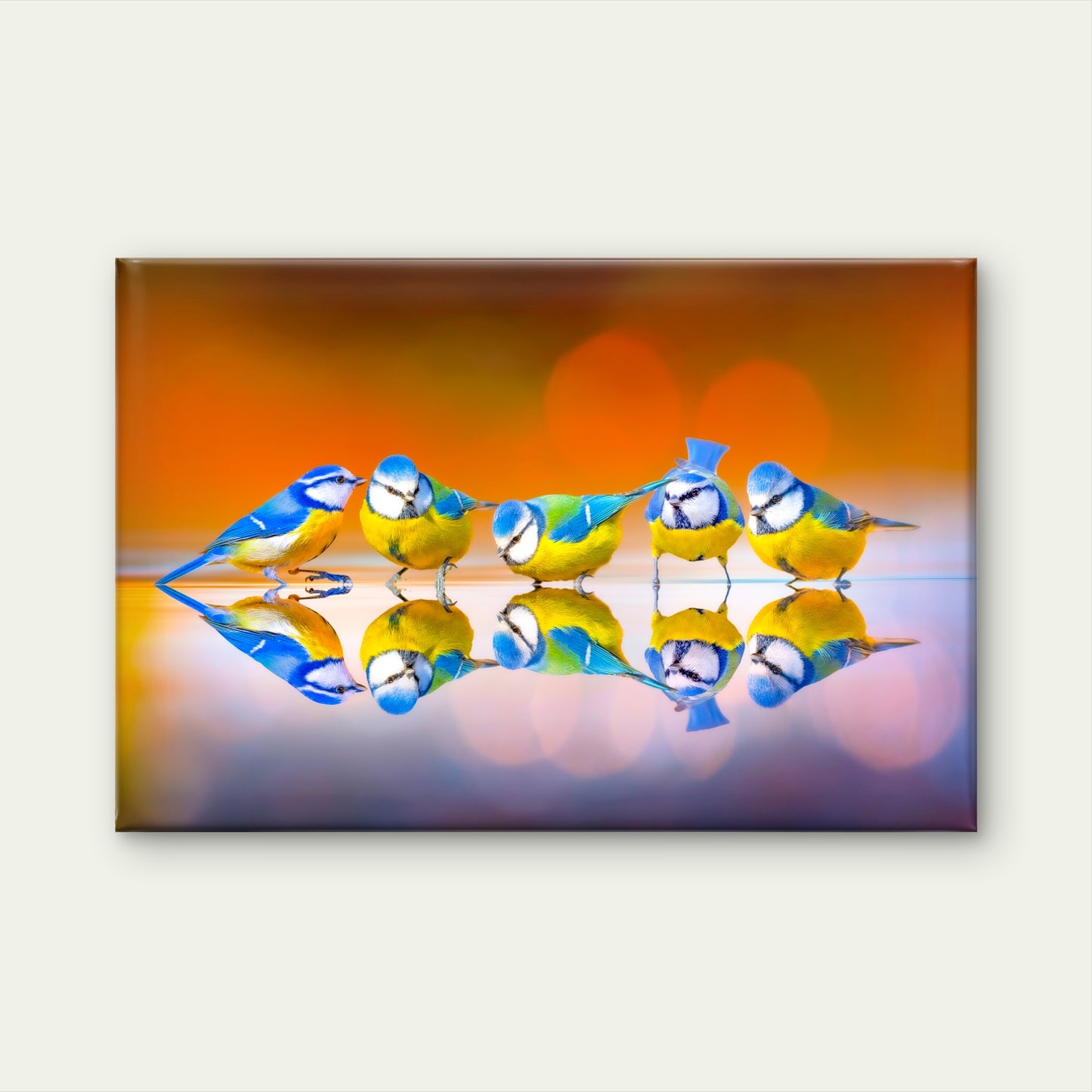 Eurasian Blue Tit Birds Reflect On Lake Wall Art Decor 100% Australian Made - Bella Home Decor
