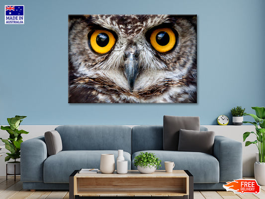 Close-Up of an Owl's Eyes Print 100% Australian Made