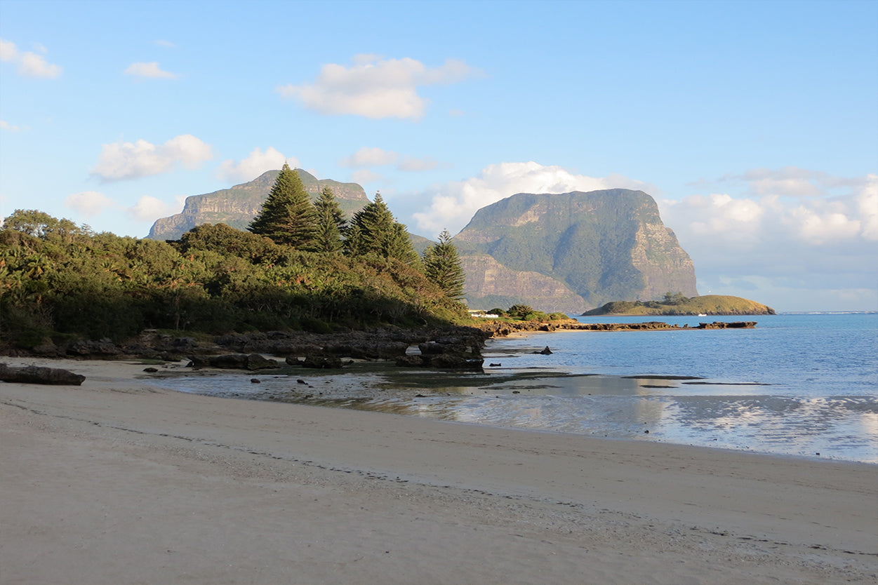 Lord Howe Island NSW Mount Lidgbird and Mount Gower Wall Art Decor 100% Australian Made
