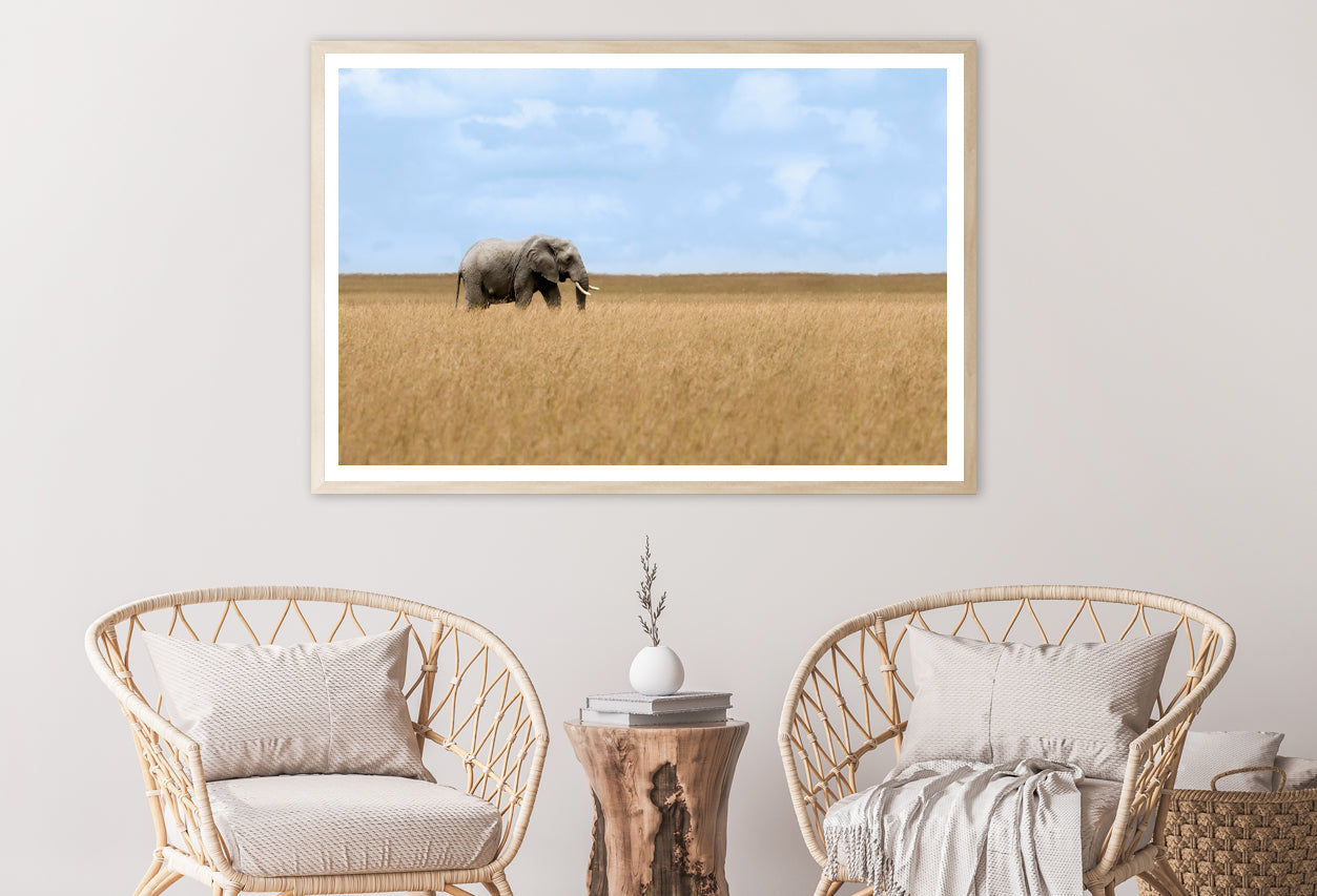 Elephant Walking Through Tall Grass in a Field Home Decor Premium Quality Poster Print Choose Your Sizes - Bella Home Decor