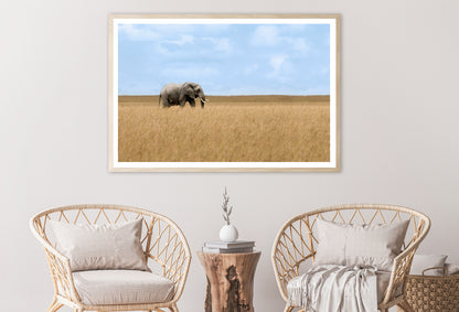 Elephant Walking Through Tall Grass in a Field Home Decor Premium Quality Poster Print Choose Your Sizes - Bella Home Decor