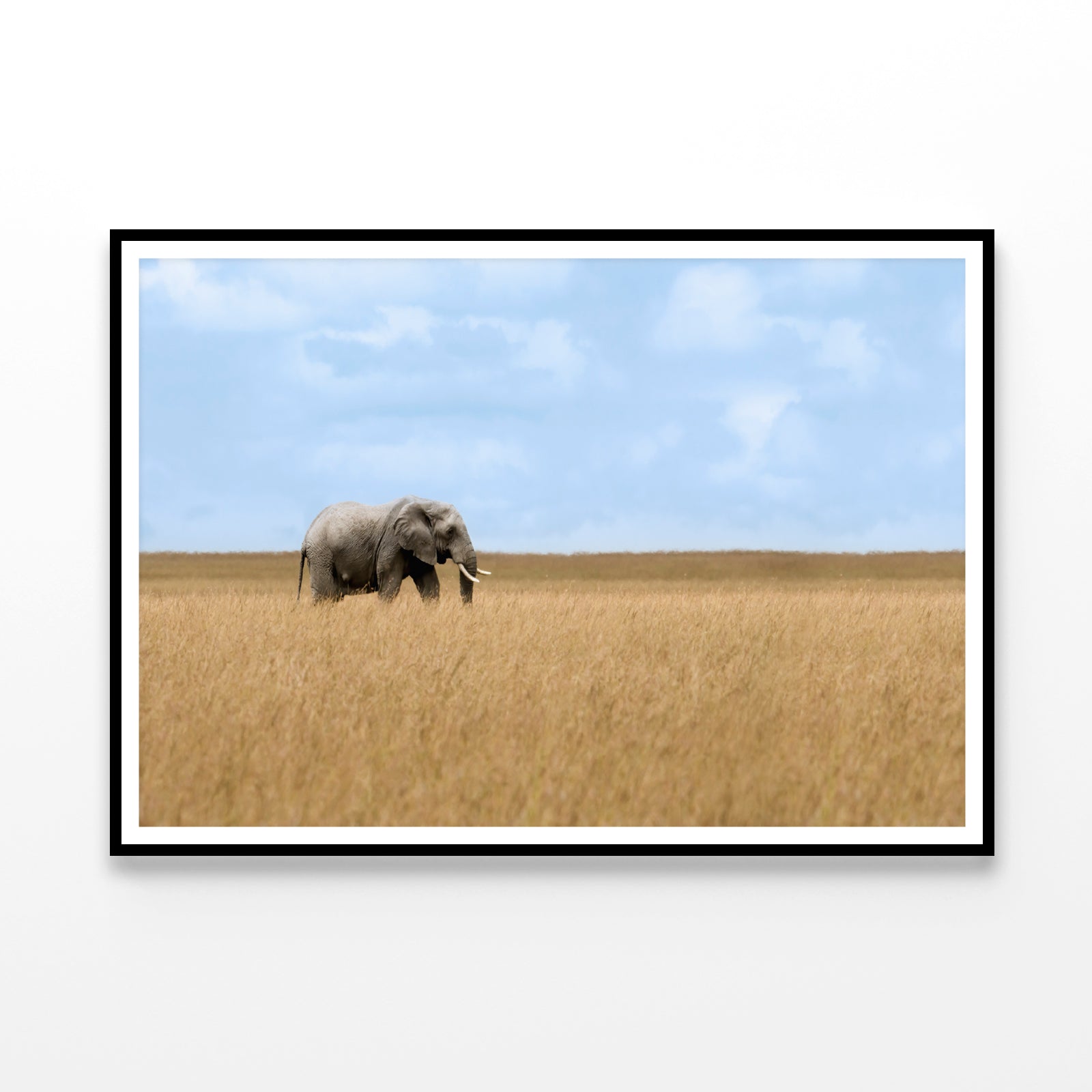Elephant Walking Through Tall Grass in a Field Home Decor Premium Quality Poster Print Choose Your Sizes - Bella Home Decor