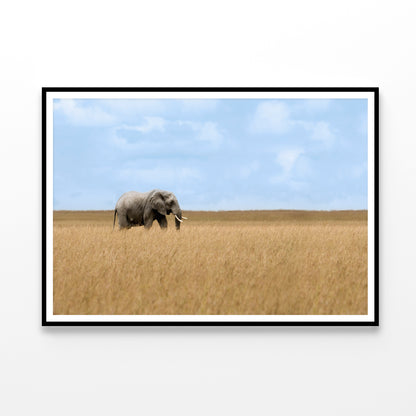 Elephant Walking Through Tall Grass in a Field Home Decor Premium Quality Poster Print Choose Your Sizes - Bella Home Decor