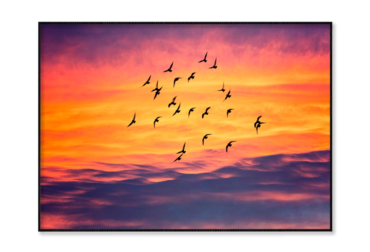 Birds Flying into Sunset Sky Home Decor Premium Quality Poster Print Choose Your Sizes