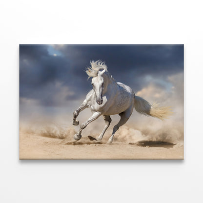 White horse running in desert sky Wall Art Decor 100% Australian Made - Bella Home Decor