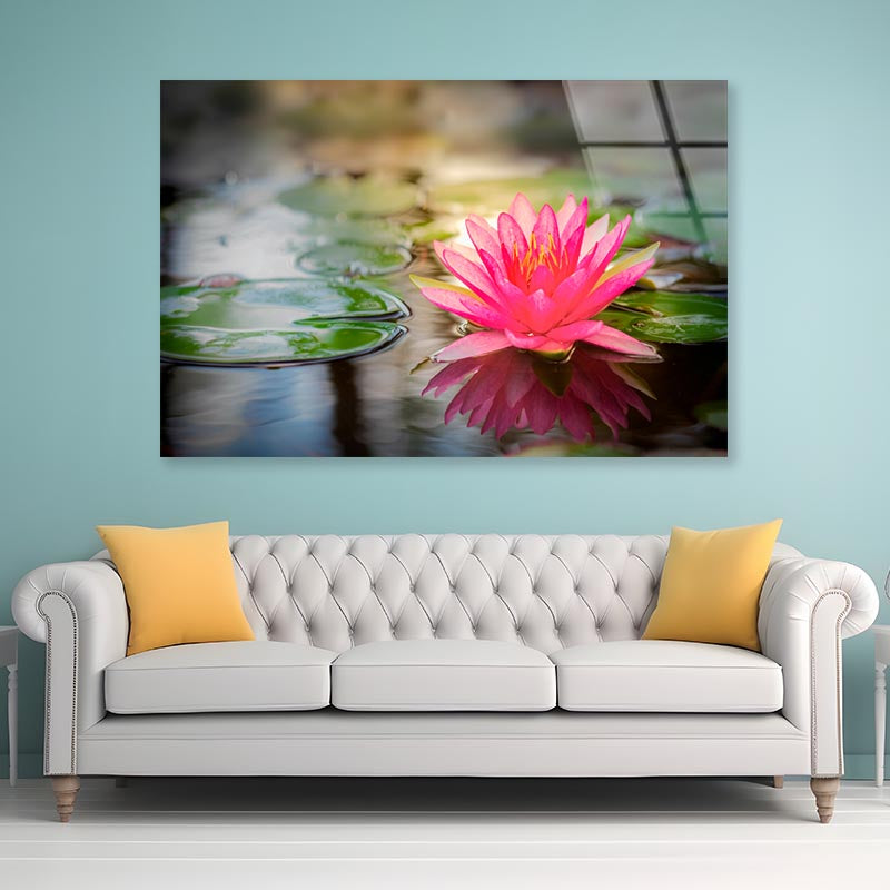 Pink Lotus On Water Acrylic Glass Print Tempered Glass Wall Art 100% Made in Australia Ready to Hang