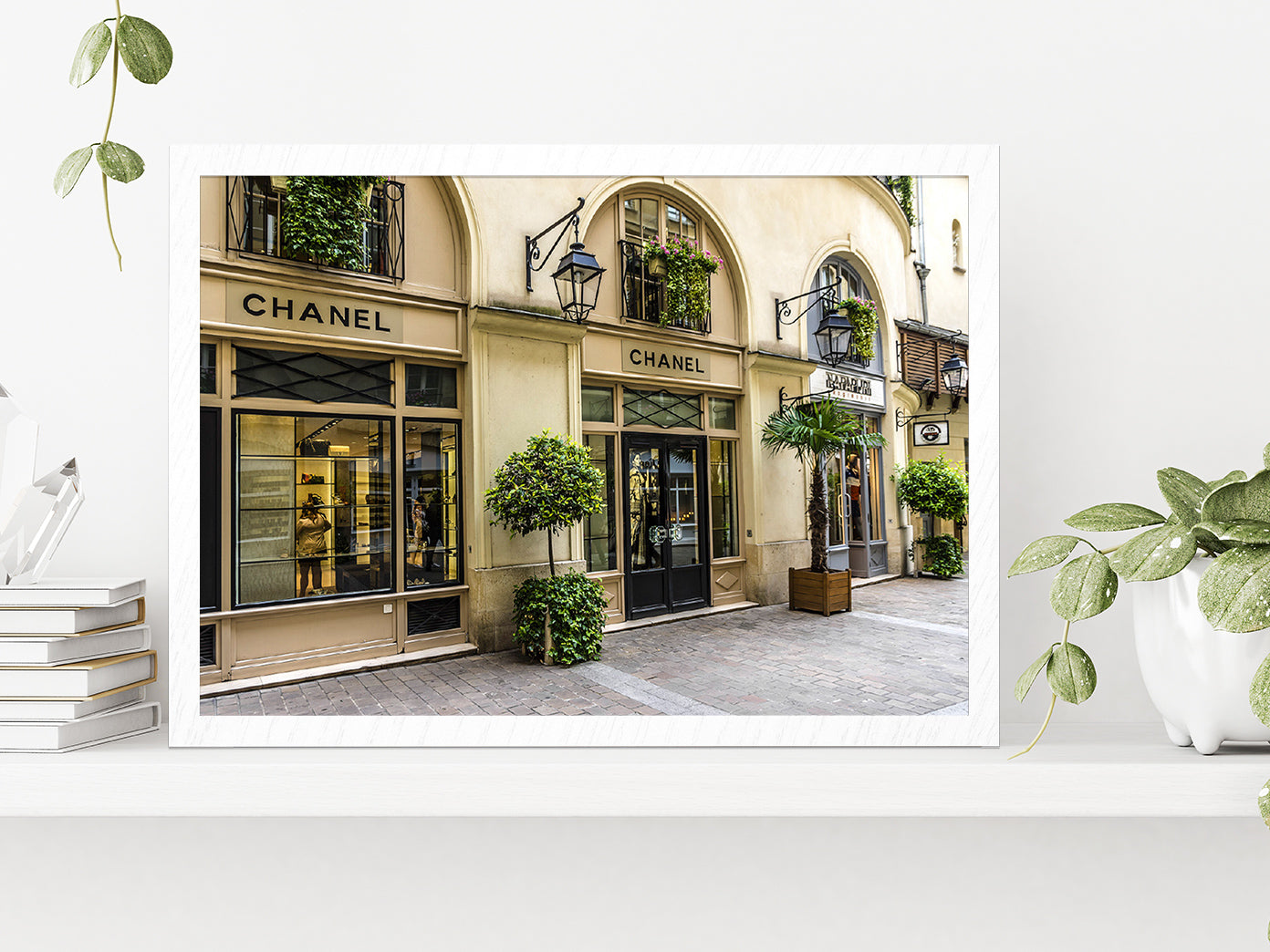 Tree Plants near Fashion Store Madeleine Glass Framed Wall Art, Ready to Hang Quality Print Without White Border White