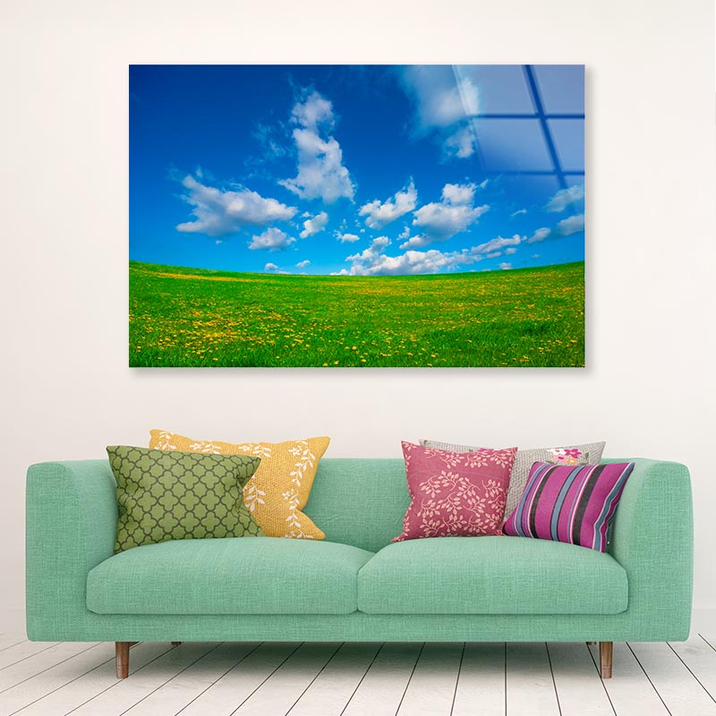 Grassland and Blue Sky Acrylic Glass Print Tempered Glass Wall Art 100% Made in Australia Ready to Hang