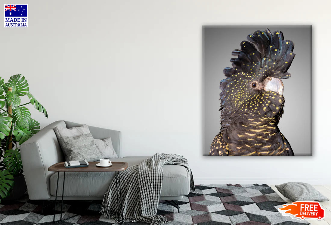 Australian Native Red Tailed Black Cockatoo Portrait Photograph 60x90cm Print 100% Australian Made