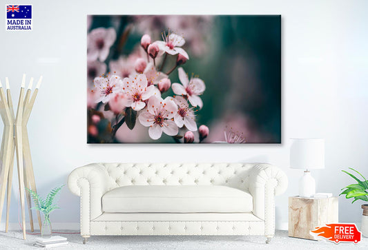 Closeup Of Spring Blossom Flower  Wall Art Decor 100% Australian Made