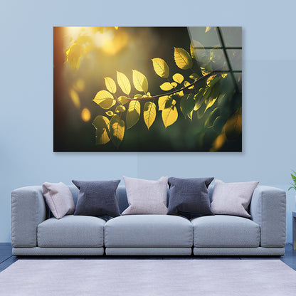 Morning Sunshine, Branch and Leaf Acrylic Glass Print Tempered Glass Wall Art 100% Made in Australia Ready to Hang - Bella Home Decor