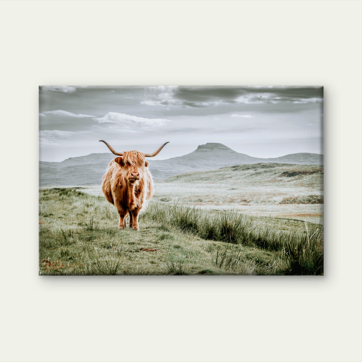 Moody Scottish Hairy Highland Cow Neutral Rustic Accent Wall Art Decor 100% Australian Made