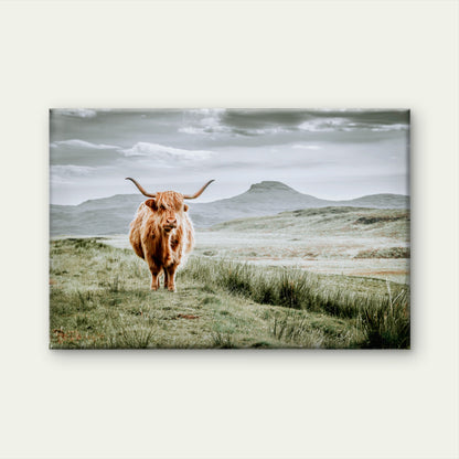 Moody Scottish Hairy Highland Cow Neutral Rustic Accent Wall Art Decor 100% Australian Made