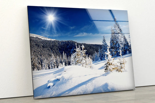 Snow Covered Forest UV Direct Aluminum Print Australian Made Quality